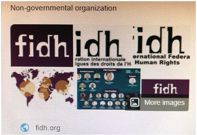 fidh logo